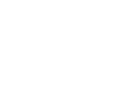 Bridge Fest