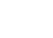 Bridge Fest